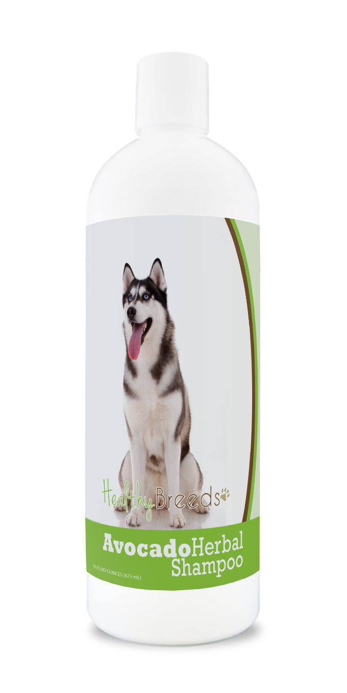 Siberian Husky Avocado Herbal Dog Shampoo 16 oz