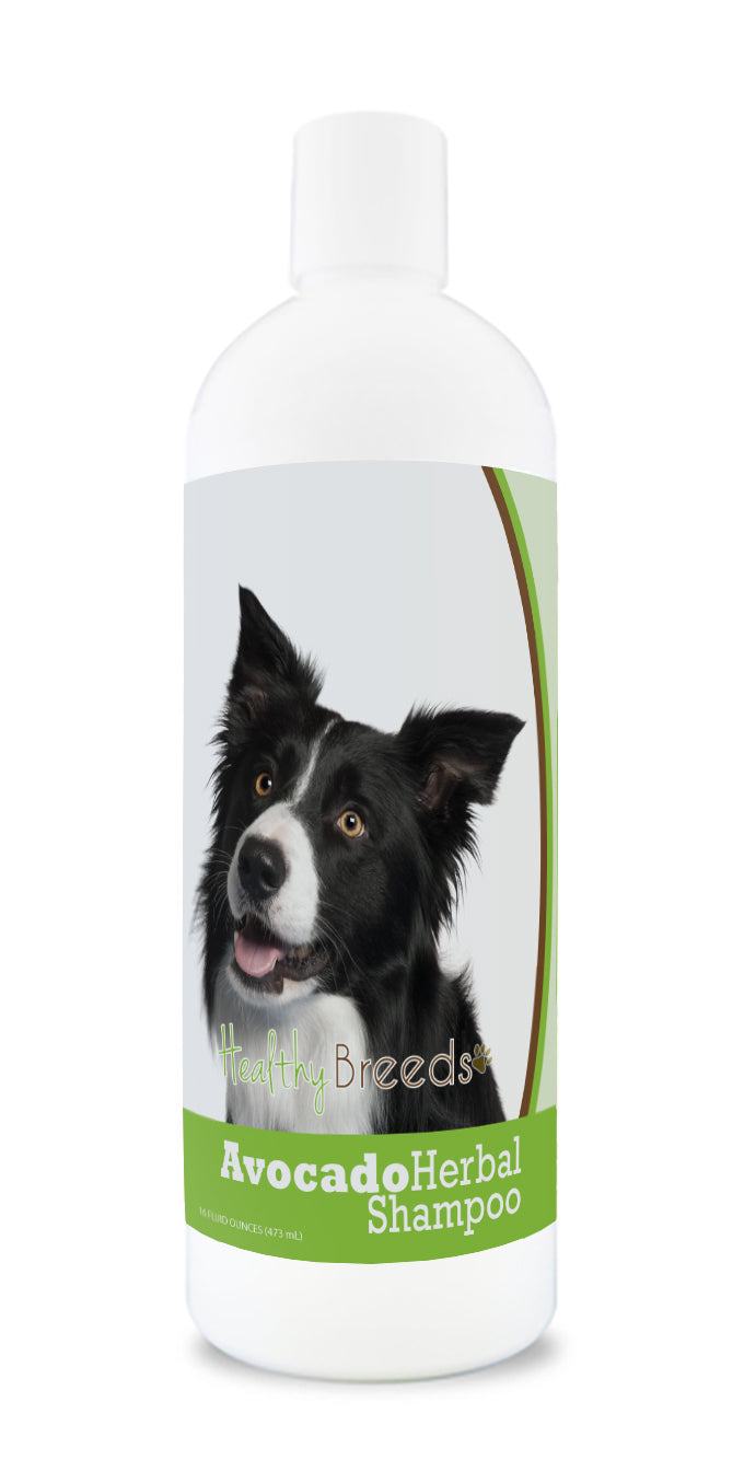 Border Collie Avocado Herbal Dog Shampoo 16 oz