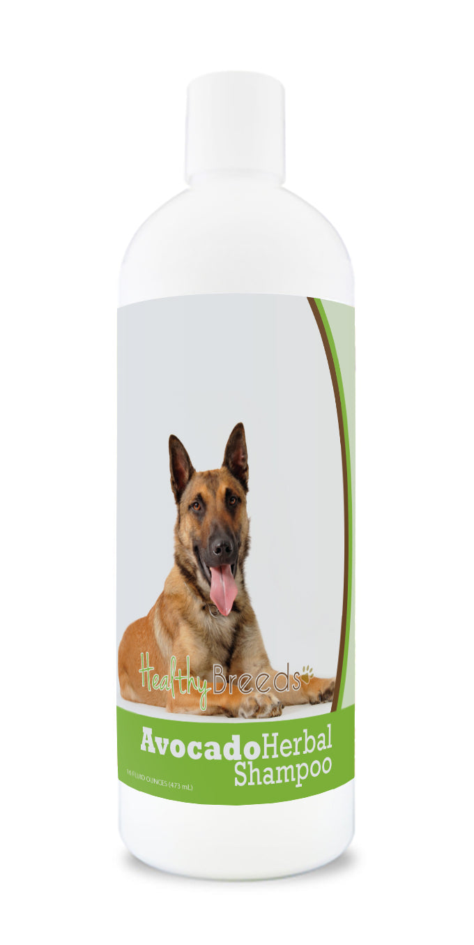 Belgian Malinois Avocado Herbal Dog Shampoo 16 oz