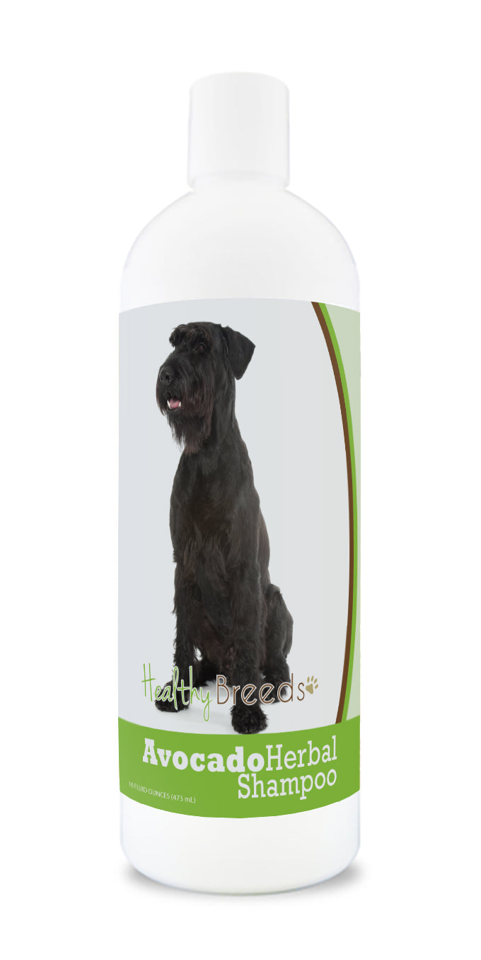 Giant Schnauzer Avocado Herbal Dog Shampoo 16 oz