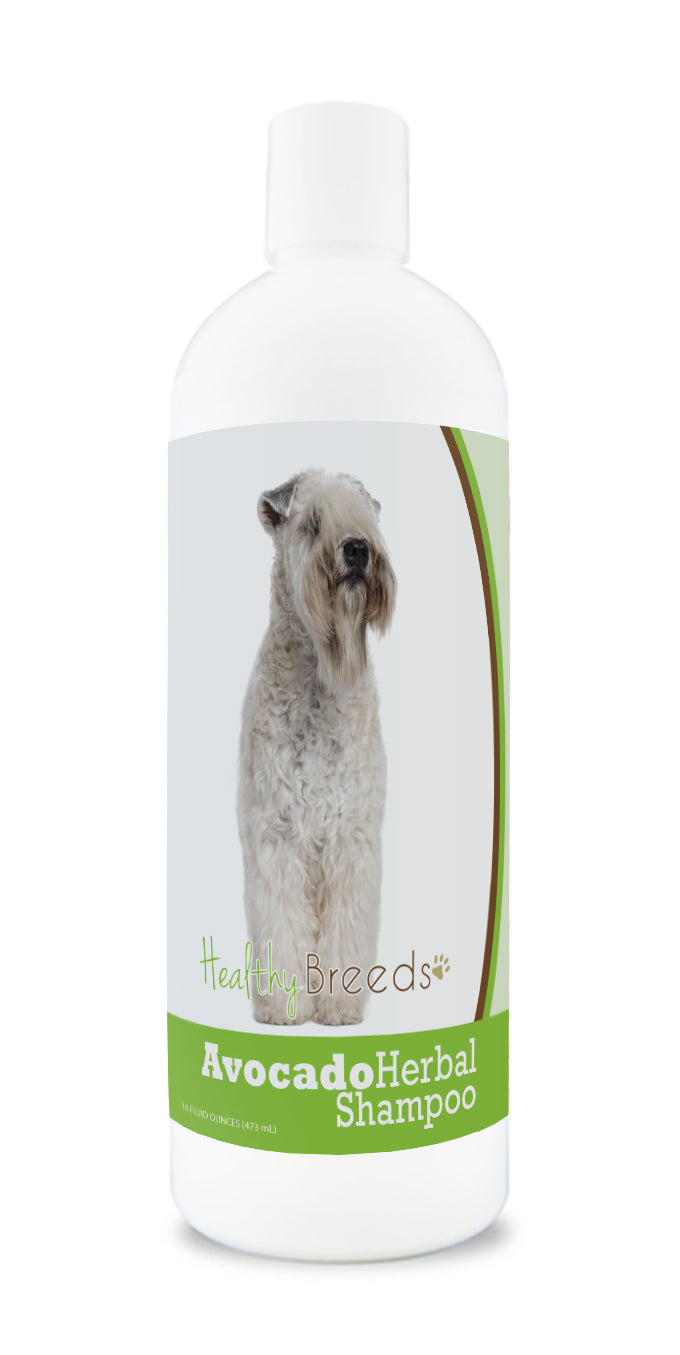 Soft Coated Wheaten Terrier Avocado Herbal Dog Shampoo 16 oz