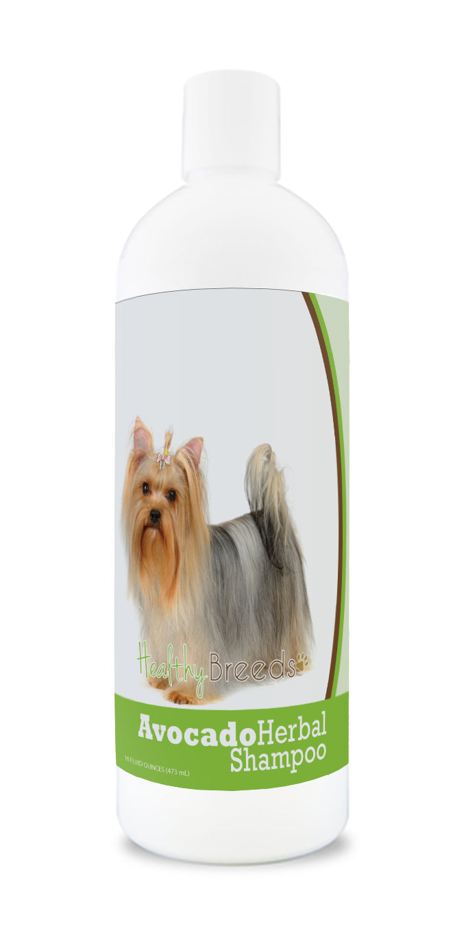 Yorkshire Terrier Avocado Herbal Dog Shampoo 16 oz