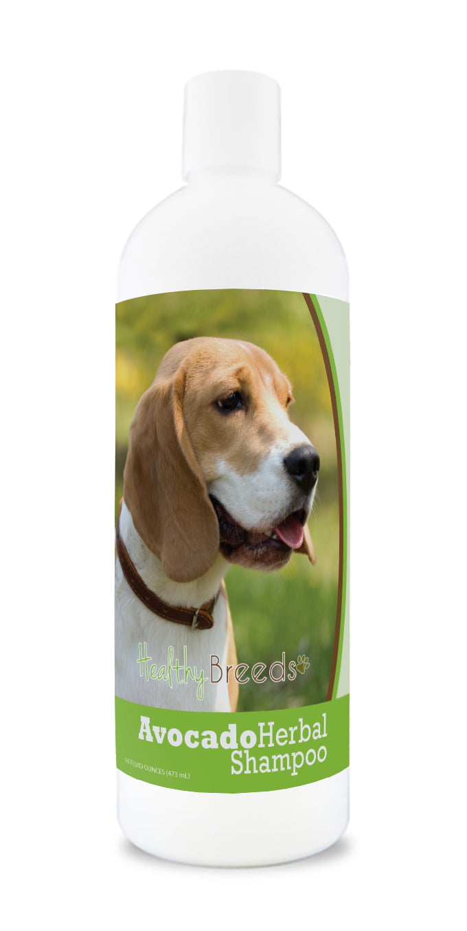 Beagle Avocado Herbal Dog Shampoo 16 oz