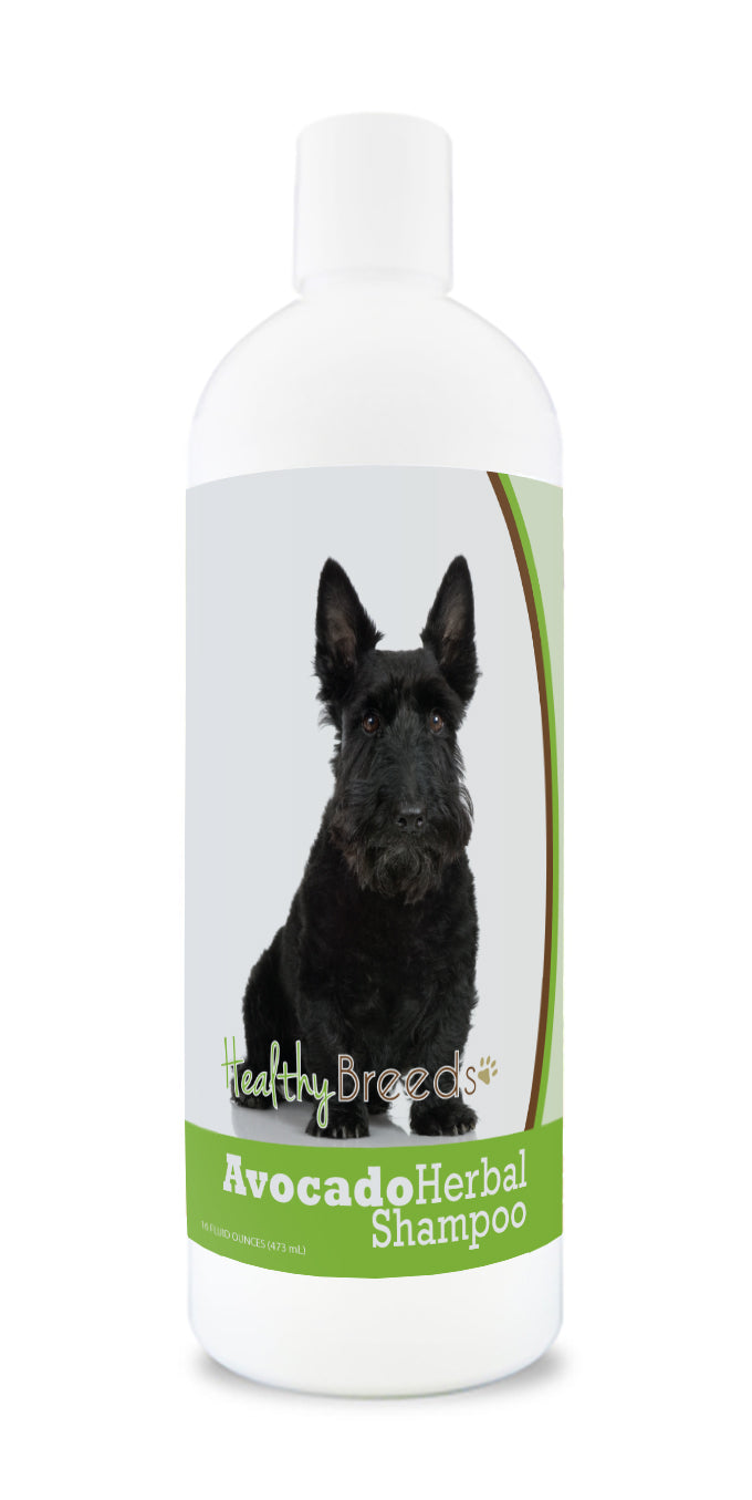 Scottish Terrier Avocado Herbal Dog Shampoo 16 oz
