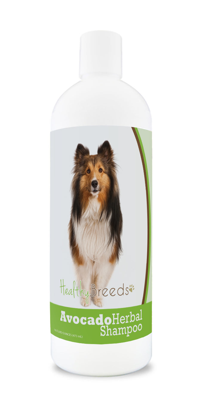 Shetland Sheepdog Avocado Herbal Dog Shampoo 16 oz