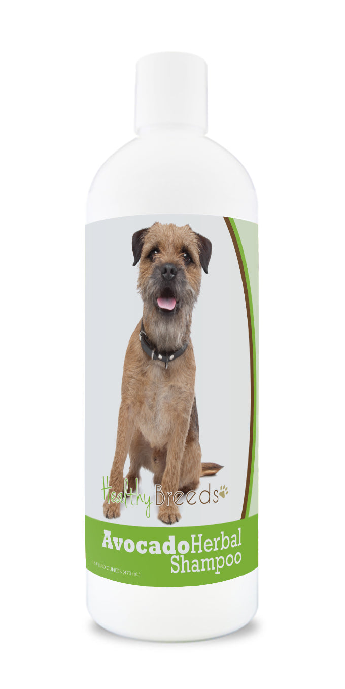 Border Terrier Avocado Herbal Dog Shampoo 16 oz