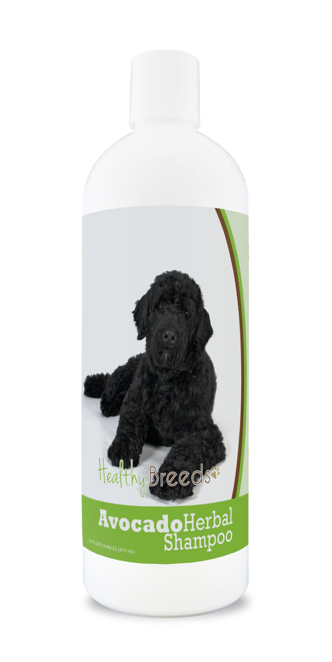 Portuguese Water Dog Avocado Herbal Dog Shampoo 16 oz
