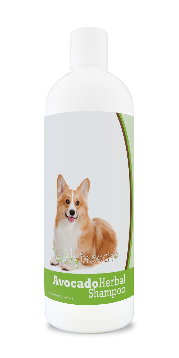 Pembroke Welsh Corgi Avocado Herbal Dog Shampoo 16 oz