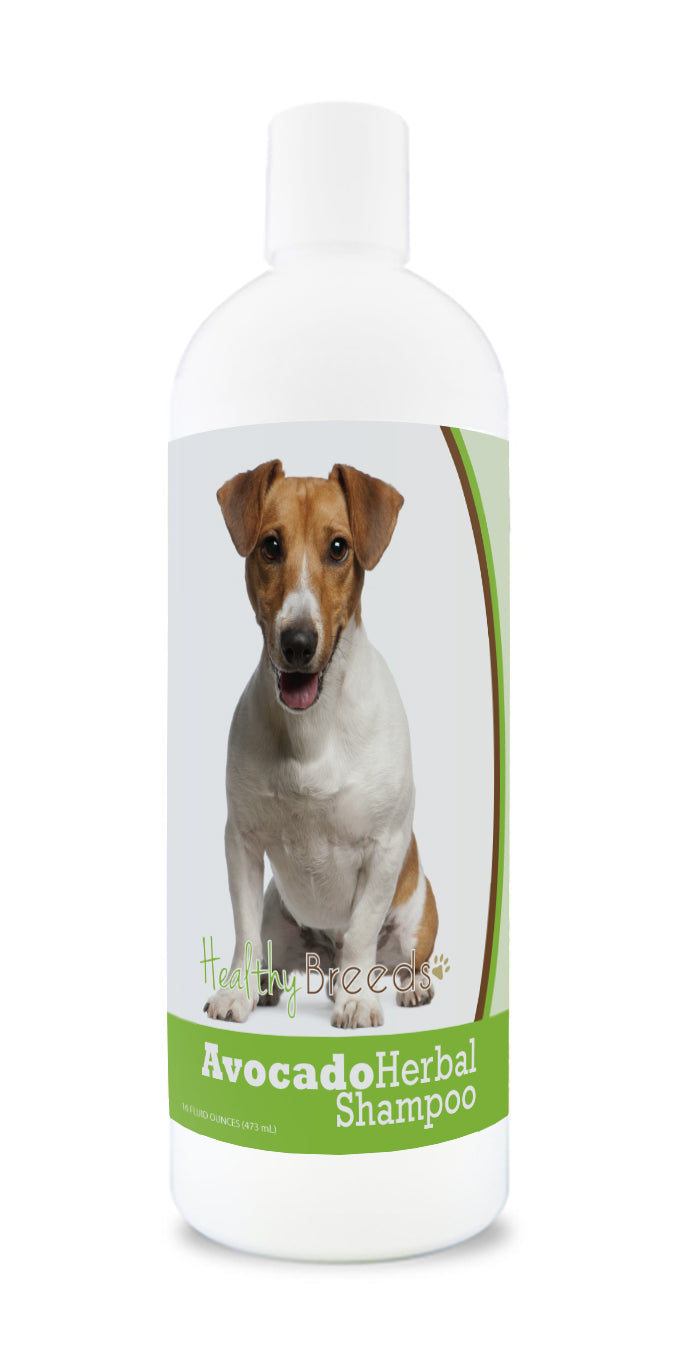 Jack Russell Terrier Avocado Herbal Dog Shampoo 16 oz