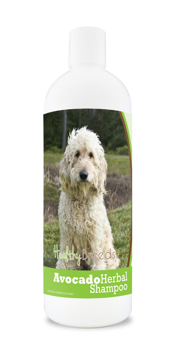 Goldendoodle Avocado Herbal Dog Shampoo 16 oz