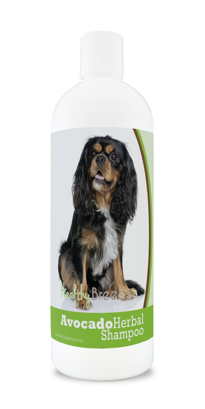 Cavalier King Charles Spaniel Avocado Herbal Dog Shampoo 16 oz
