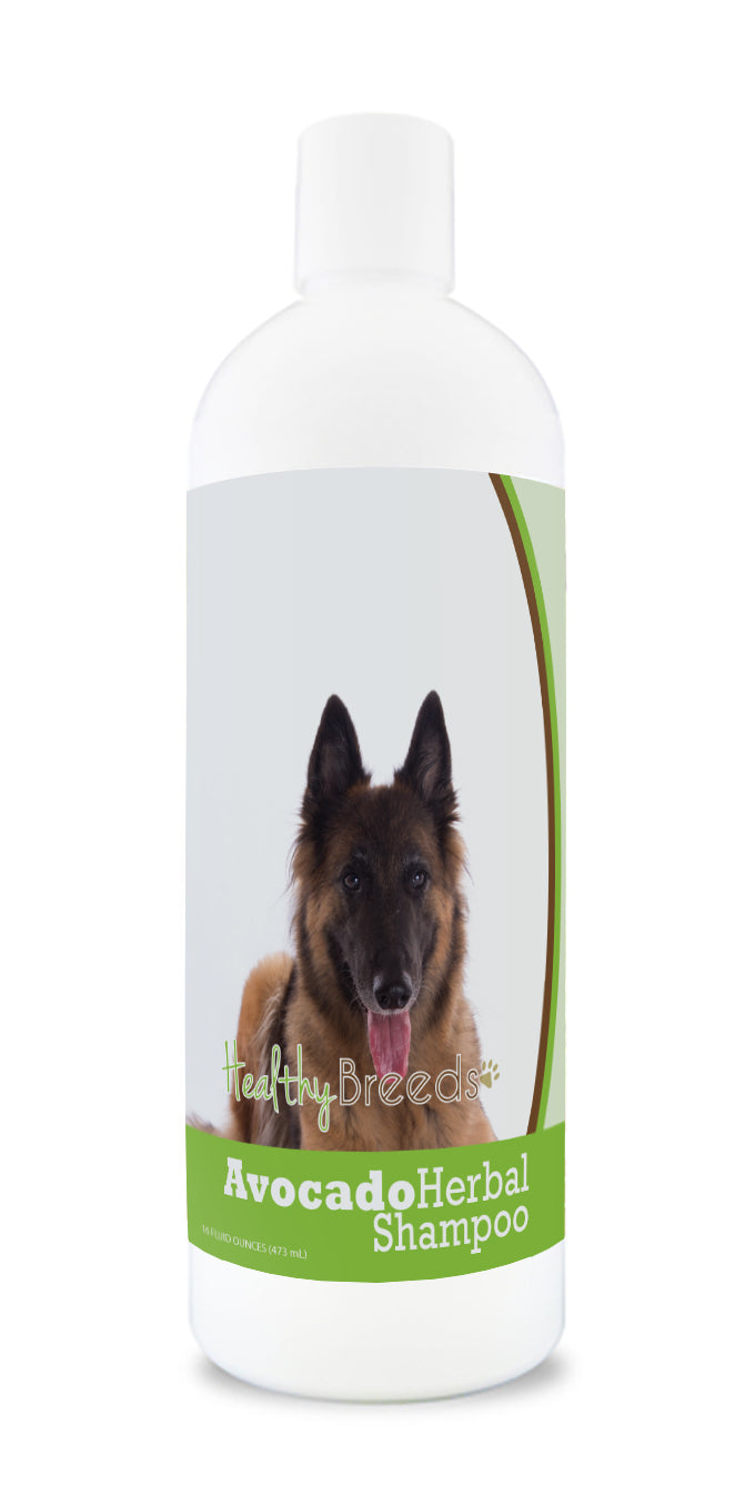 Belgian Tervuren Avocado Herbal Dog Shampoo 16 oz