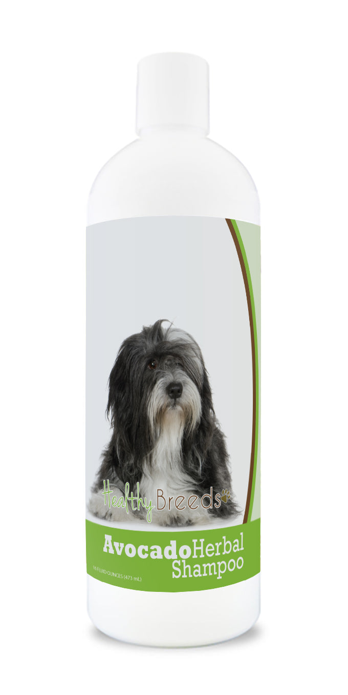 Lhasa Apso Avocado Herbal Dog Shampoo 16 oz
