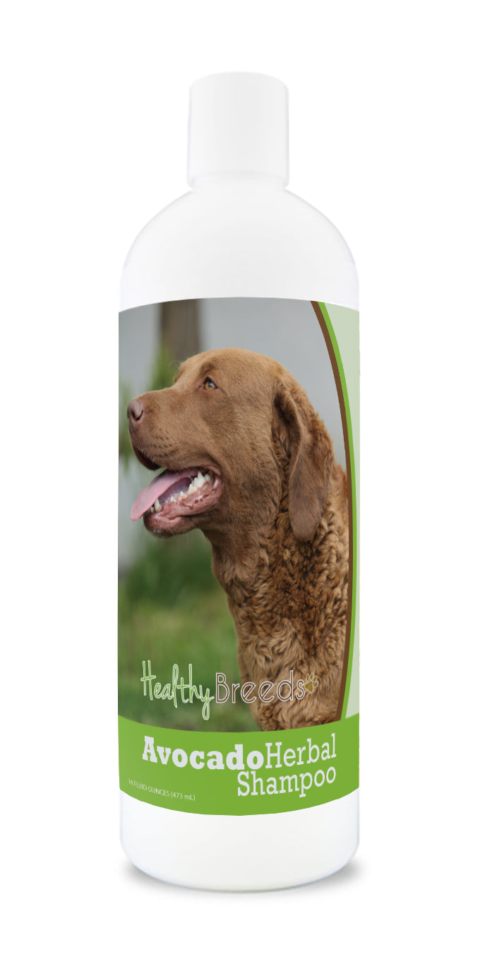 Chesapeake Bay Retriever Avocado Herbal Dog Shampoo 16 oz