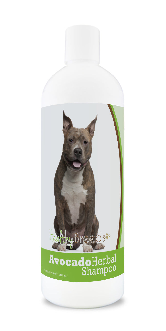 American Staffordshire Terrier Avocado Herbal Dog Shampoo 16 oz