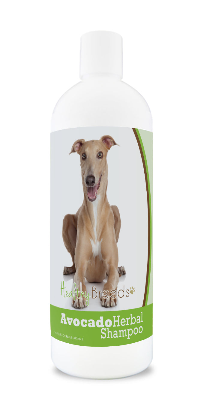 Italian Greyhound Avocado Herbal Dog Shampoo 16 oz