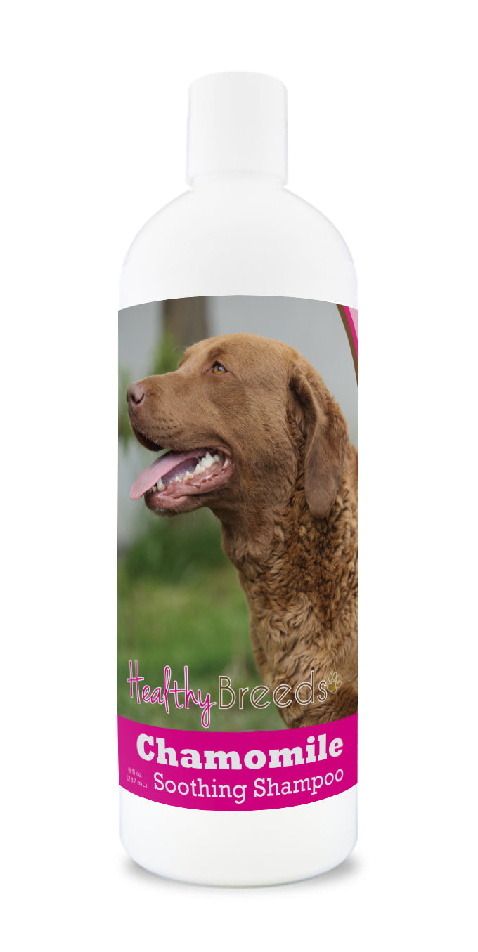 Chesapeake Bay Retriever Chamomile Soothing Dog Shampoo 8 oz