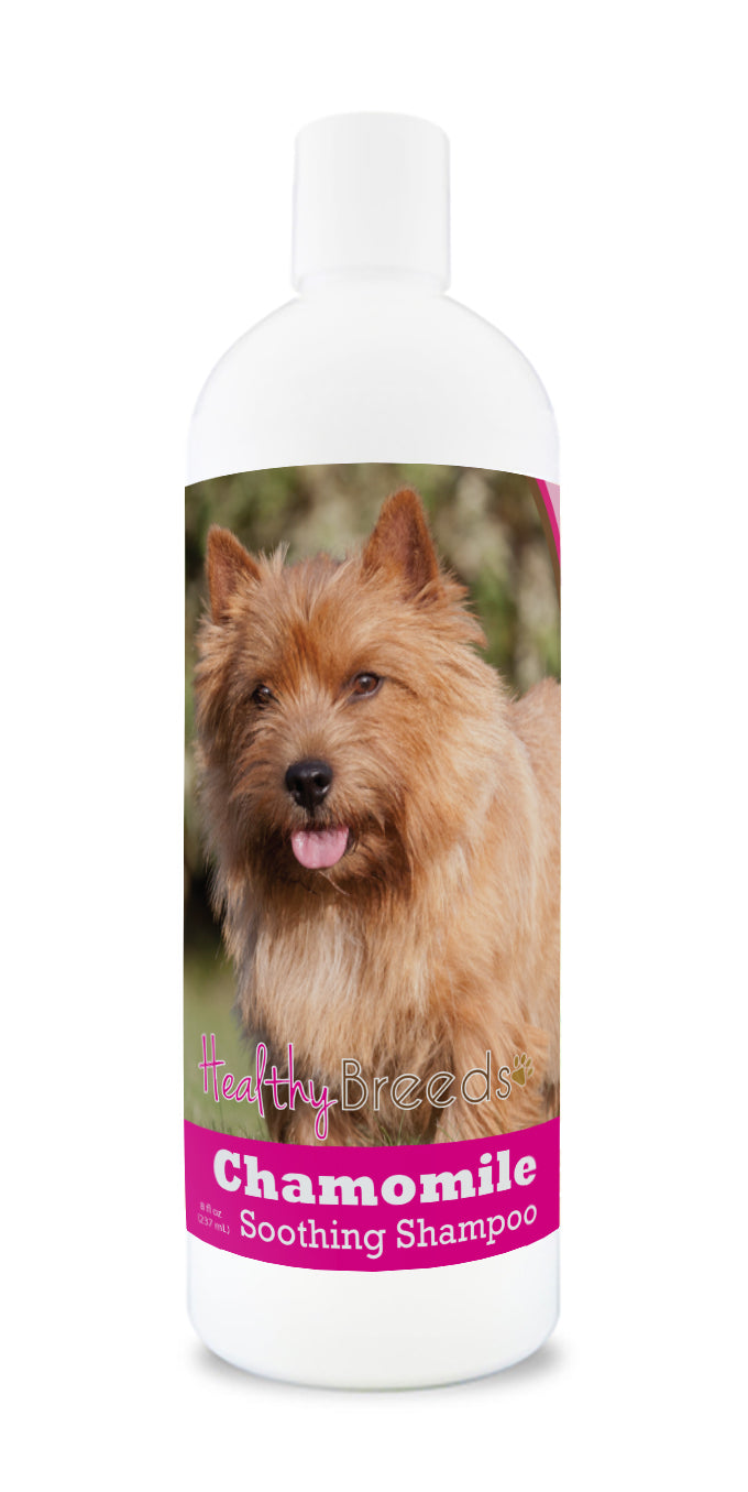 Norwich Terrier Chamomile Soothing Dog Shampoo 8 oz