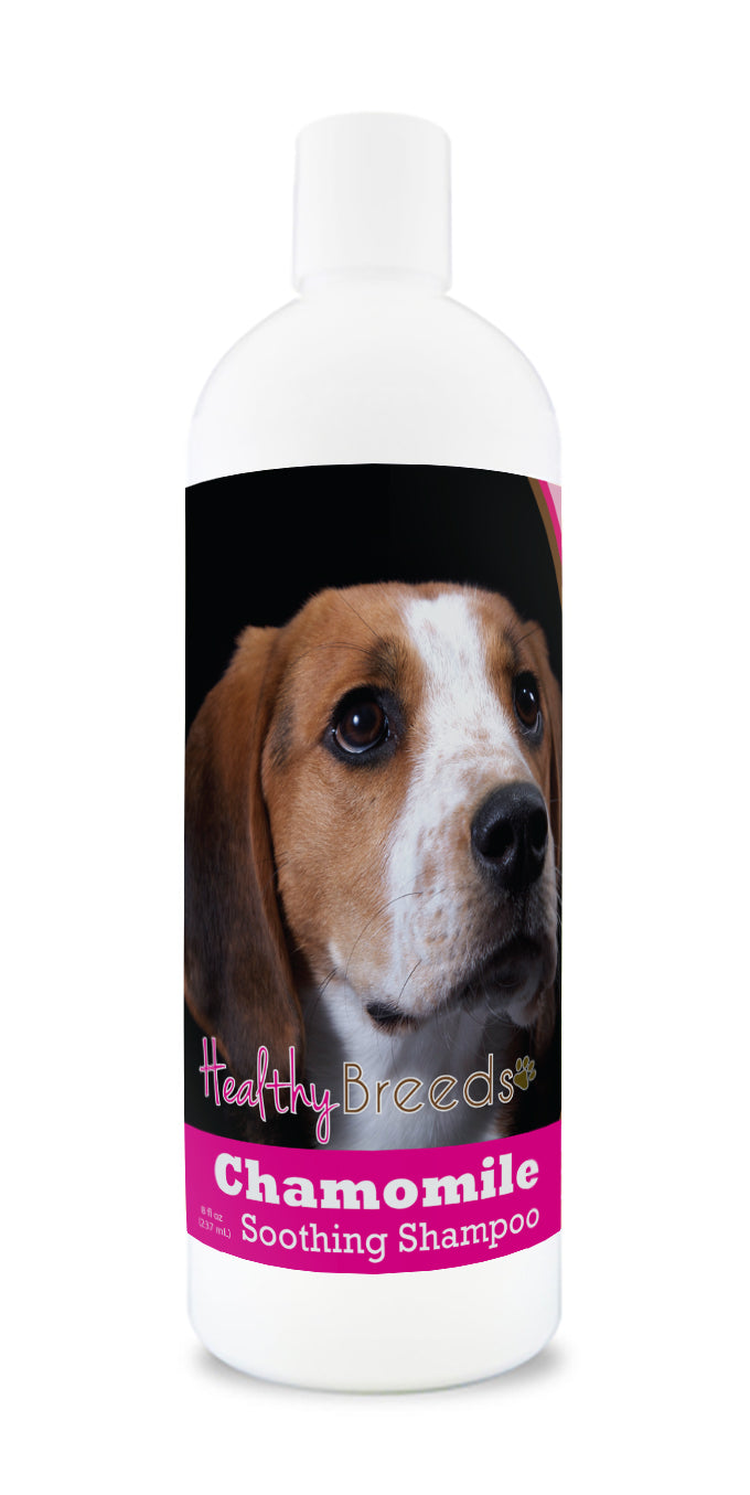 American English Coonhound Chamomile Soothing Dog Shampoo 8 oz