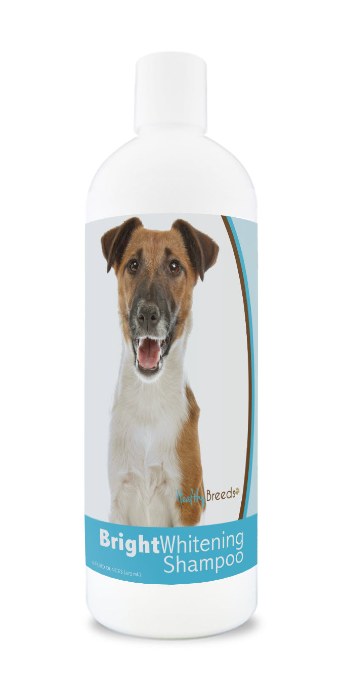 Smooth Fox Terrier Bright Whitening Shampoo 12 oz