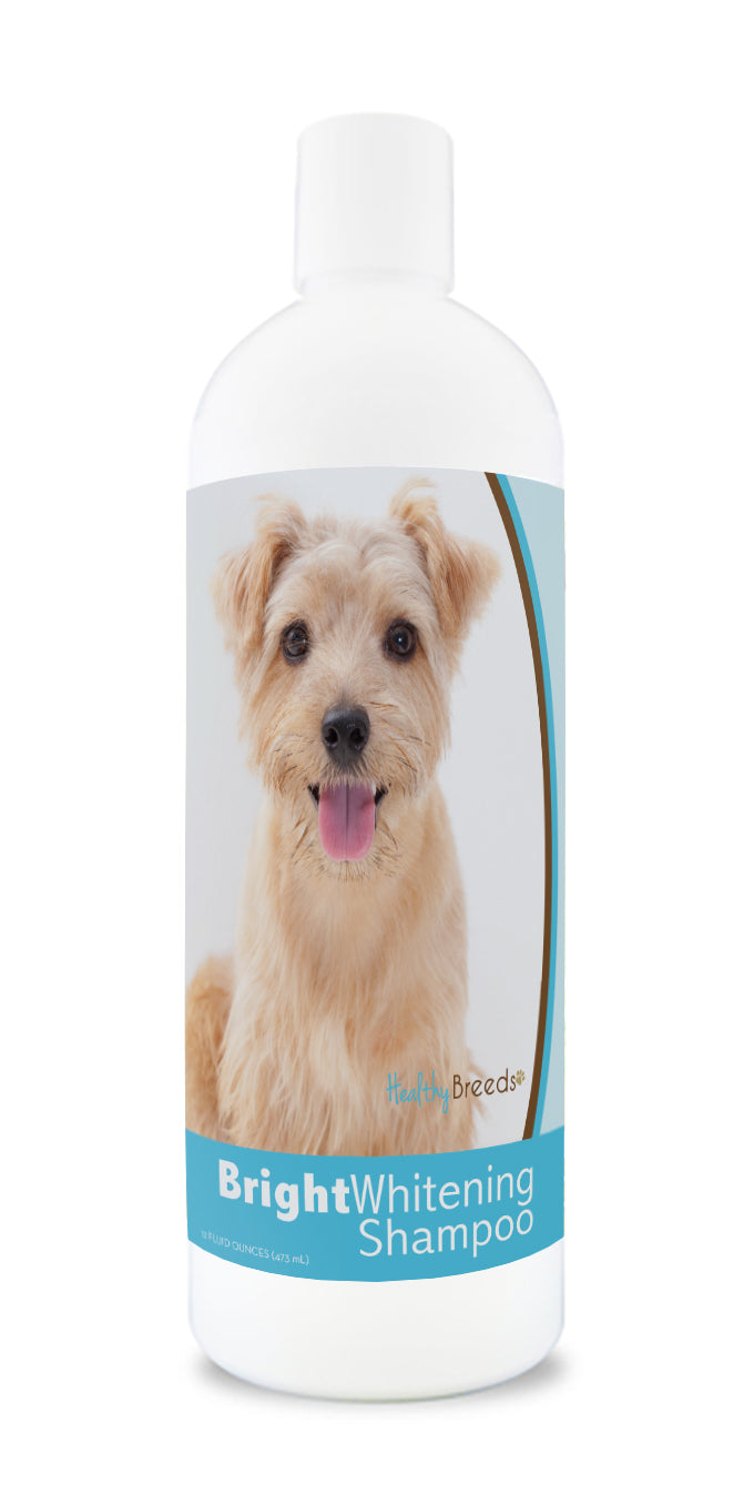 Norfolk Terrier Bright Whitening Shampoo 12 oz