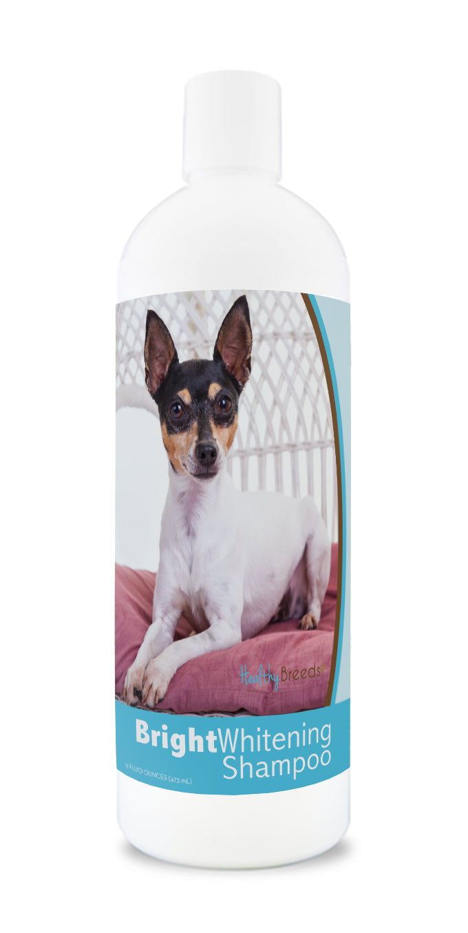 Toy Fox Terrier Bright Whitening Shampoo 12 oz