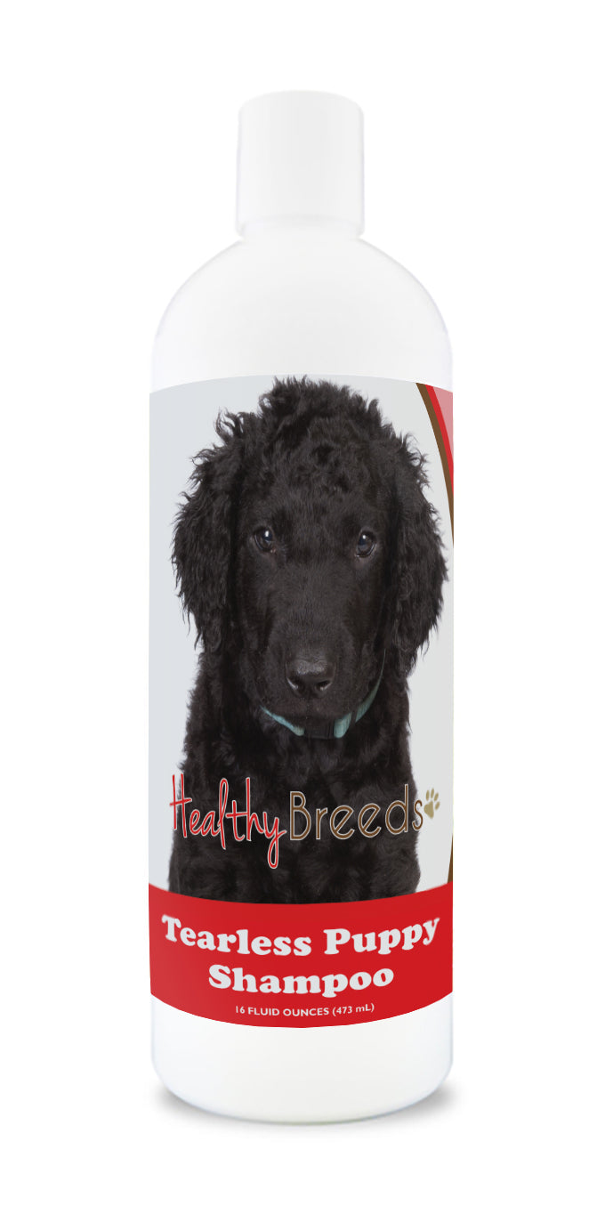 Curly-Coated Retriever Tearless Puppy Dog Shampoo 16 oz