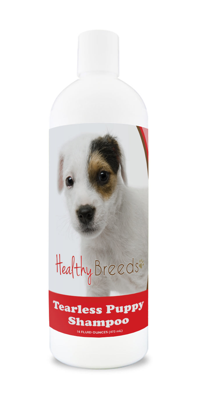Parson Russell Terrier Tearless Puppy Dog Shampoo 16 oz