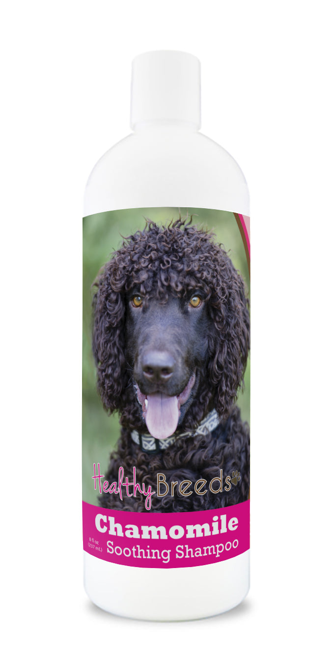 Irish Water Spaniel Chamomile Soothing Dog Shampoo 8 oz