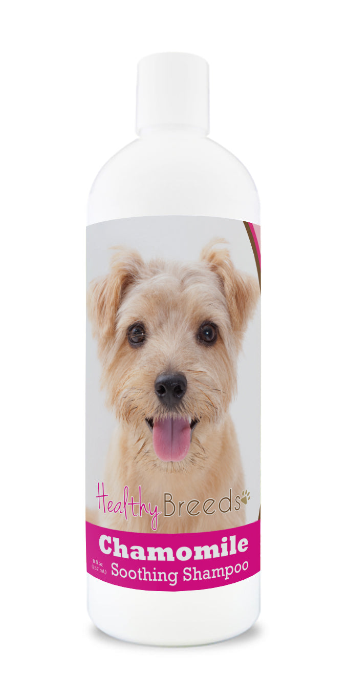 Norfolk Terrier Chamomile Soothing Dog Shampoo 8 oz