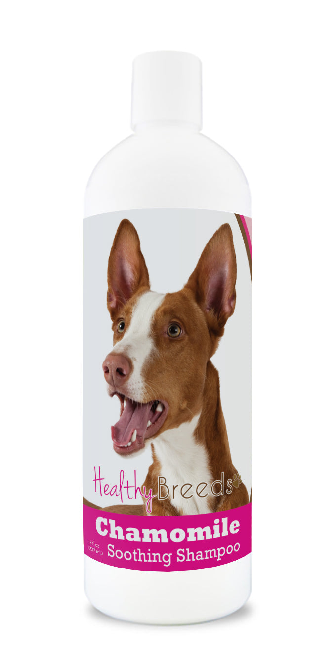 Ibizan Hound Chamomile Soothing Dog Shampoo 8 oz